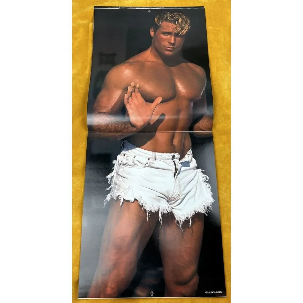 CHIPPENDALES CALENDAR 1994‎ COLLECTORS ITEM